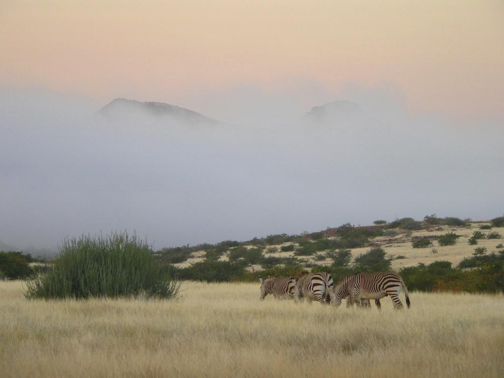 Etendeka Mountain Camp Damaraland Ngoại thất bức ảnh