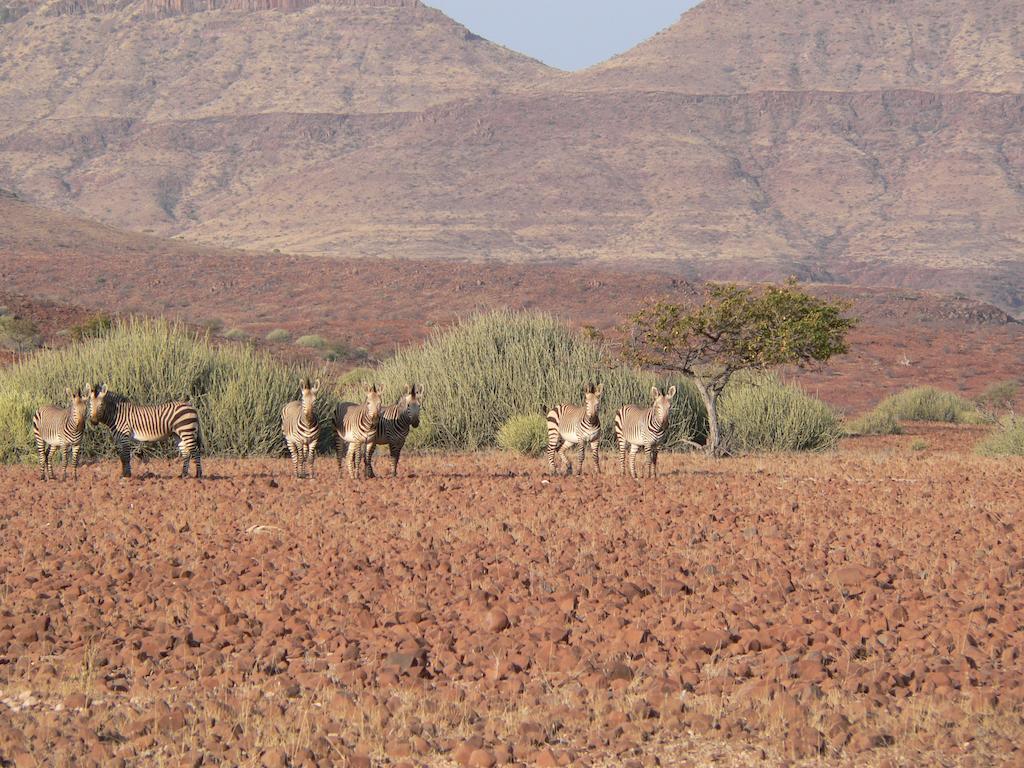 Etendeka Mountain Camp Damaraland Ngoại thất bức ảnh